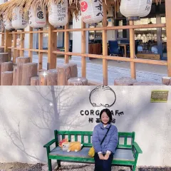 秋田犬咖啡屋·精酿啤酒馆 User Photo