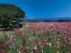 Nokonoshima Island Park