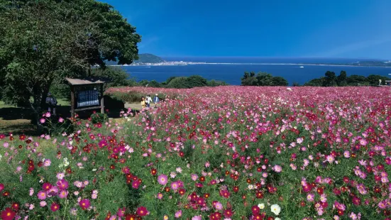 能古島海島公園