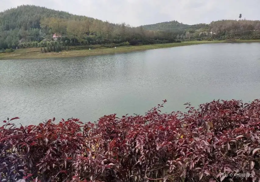 蓮花山景区