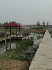 齊河趙牛河人工濕地公園