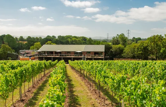 Bolney Wine Estate cafe