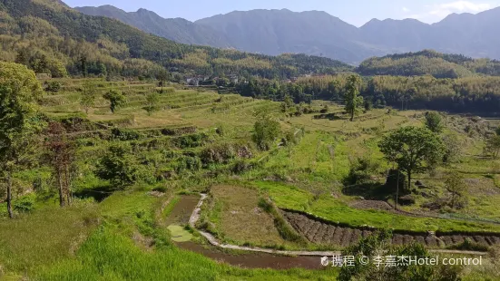 中國田魚村