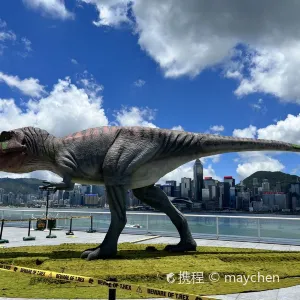 海運觀點