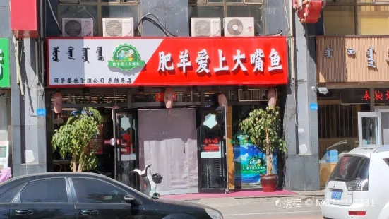 肥羊愛上大嘴魚（華宇名門店）