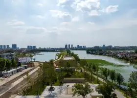 淮陽龍湖國家濕地公園-陳楚故城