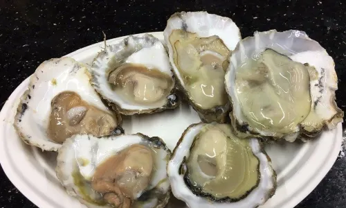 Richard Haward's Oysters