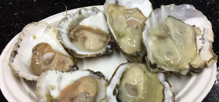 Richard Haward's Oysters