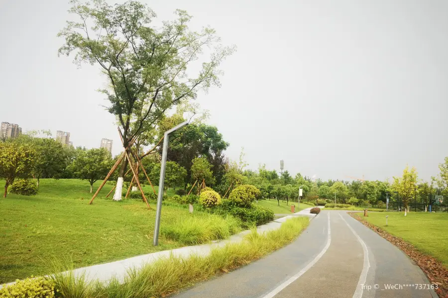 Qiantang Ecological Park