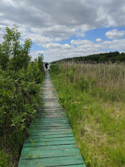 Parco paesaggistico di Gostynińsko-Włocławski
