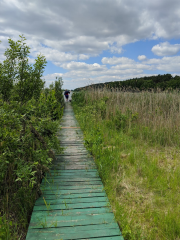 Gostynińsko-Włocławski Park Krajobrazowy