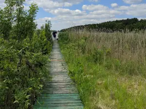 Gostynińsko-Włocławski Park Krajobrazowy