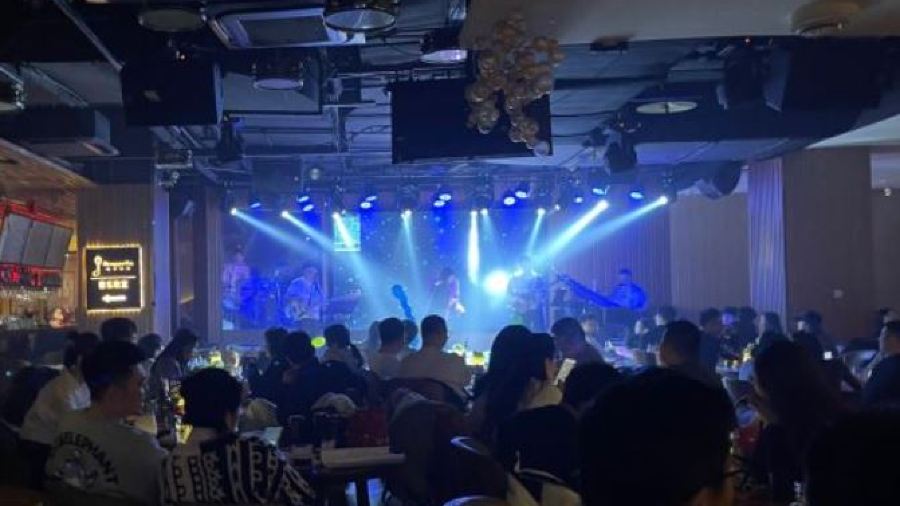 Acappella Live Music