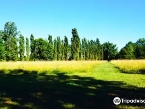 Parco del Cormor