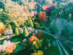 Mount Lofty Botanic Garden