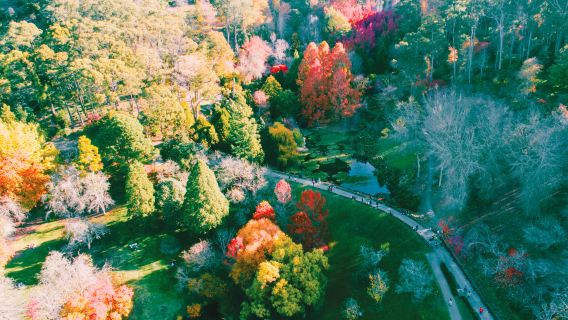 Mount Lofty Botanic Garden
