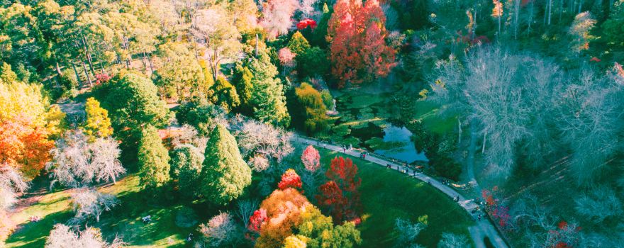 Mount Lofty Botanic Garden