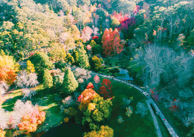 Mount Lofty Botanic Garden