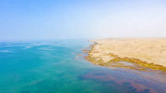 博斯騰湖-白鷺洲