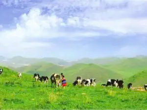 Shaoyang Nanshan Mountain