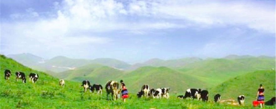 Shaoyang Nanshan Mountain