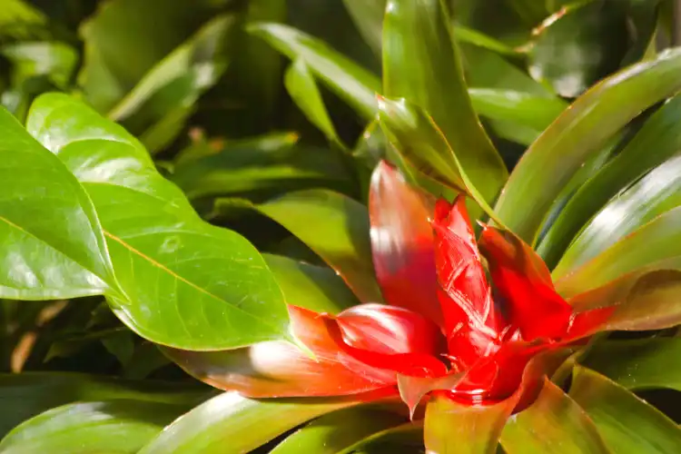 Hotels near Franklin Park Conservatory and Botanical Gardens