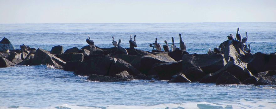 Fort Pierce Inlet State Park