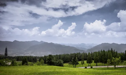 Yushe Forest Park
