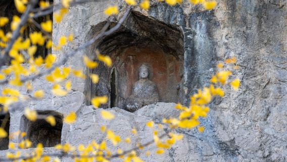 【純玩導遊講解】河南洛陽龍門石窟人工講解/1.5小時小拼團講解/散拼含耳麥(整點發團/可預約獨立團)