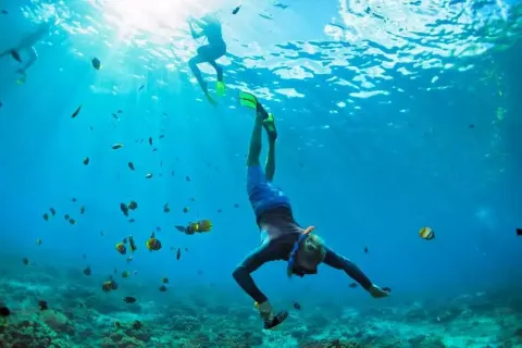 Scuba Diving in Koh Larn