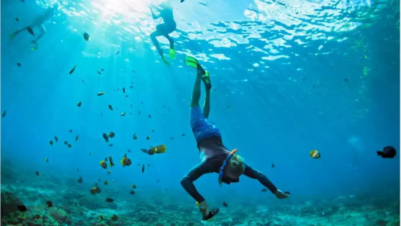 Scuba Diving in Koh Larn