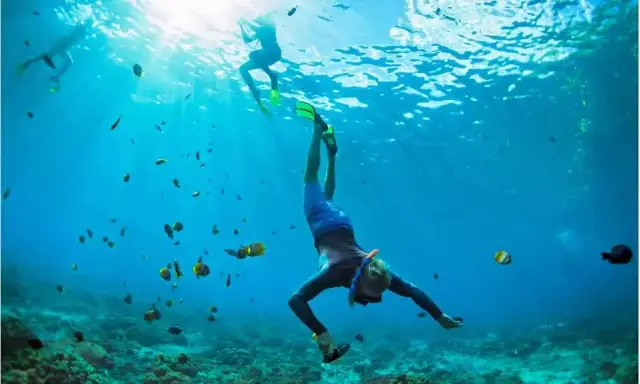 Scuba Diving in Koh Larn