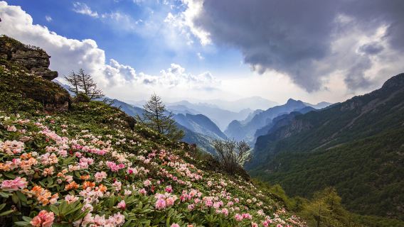 Qinling Mountains