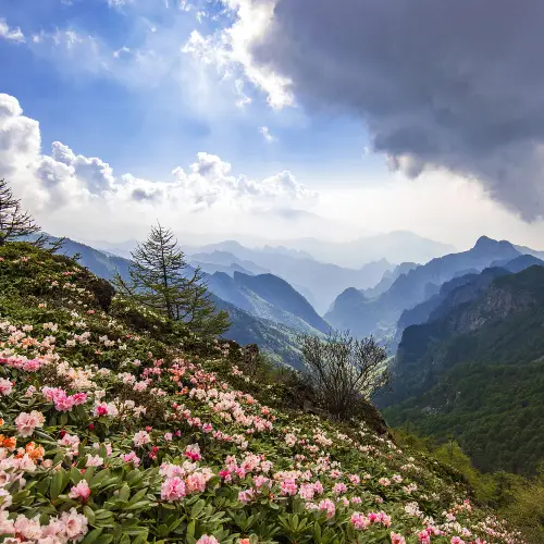 秦嶺