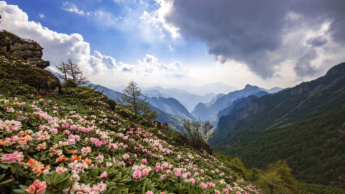 Qinling Mountains