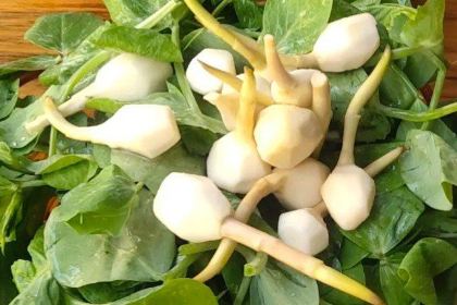 吴老妈石锅鱼(乾景商业中心店)