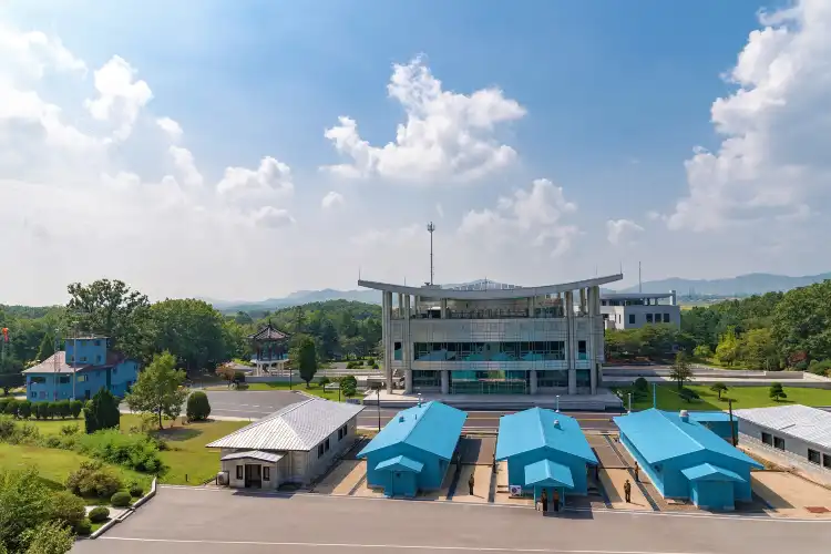 Paju