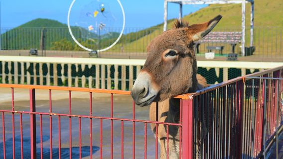 Saebyeol Friends Zoo