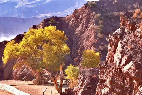 Xinjiang Tianshan Tomur Scenic Area Grand Canyon