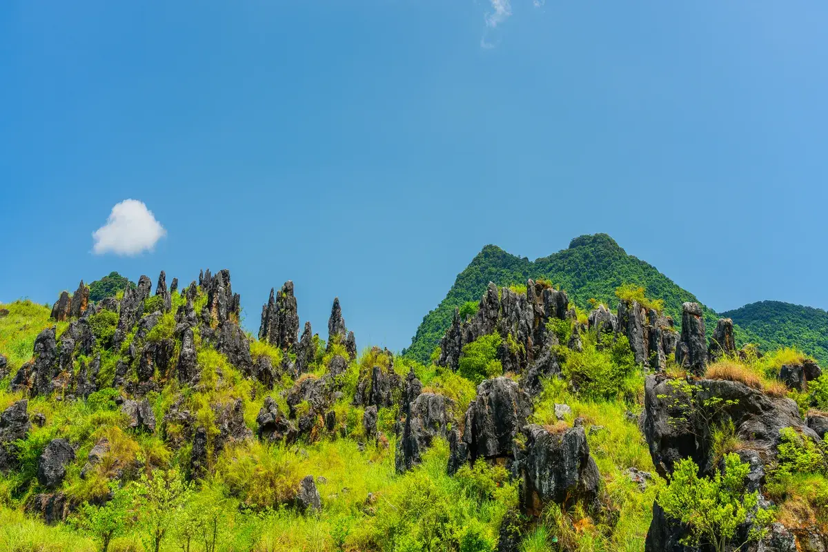 Xiangshui Stone Forest