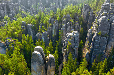 Adršpach Rock Formation