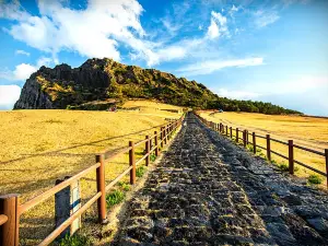 ซองซาน อิลชชุลบง ทฟ โคน