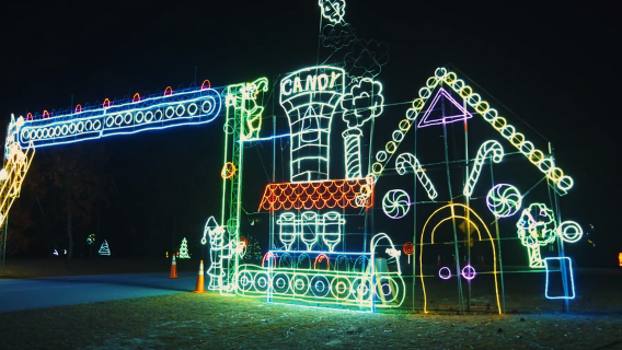 The Great Christmas Light Show