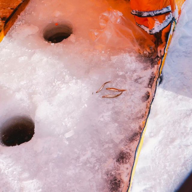 ตกปลาใต้น้ำแข็ง (Ice Fishing) ที่ฮอกไกโด