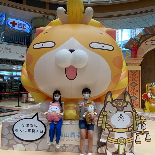 白爛貓異國之旅