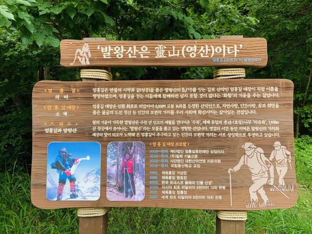 용평스키여행