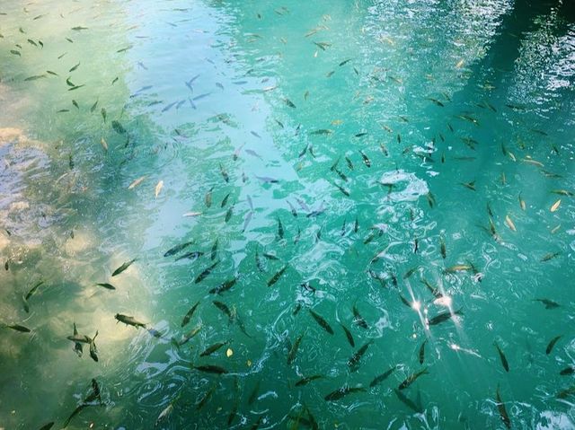 At the end of the cave there is a lagoon