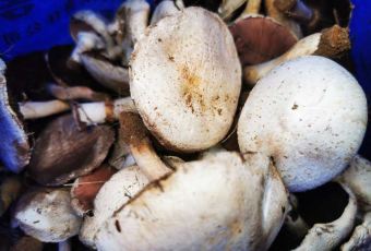 张北天路安娜庄园 User Photo