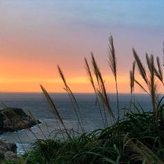 Dongjigushijingpinminsu·shiwu Restaurant 여행 사진