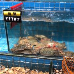 Shenhai Fishing Port User Photo